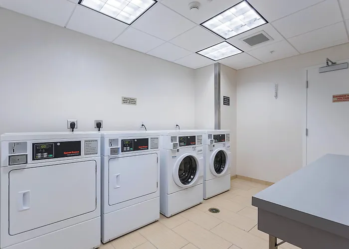 Springhill Suites Tampa North/Tampa Palms